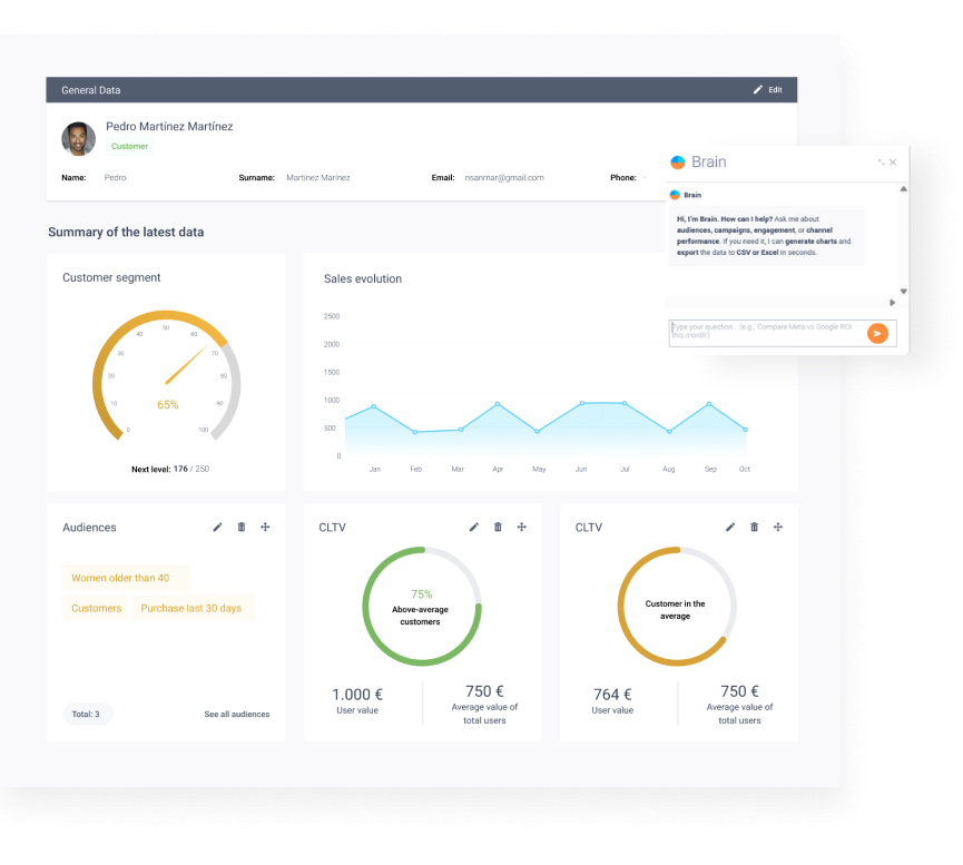 dashboard cust 306 con brain